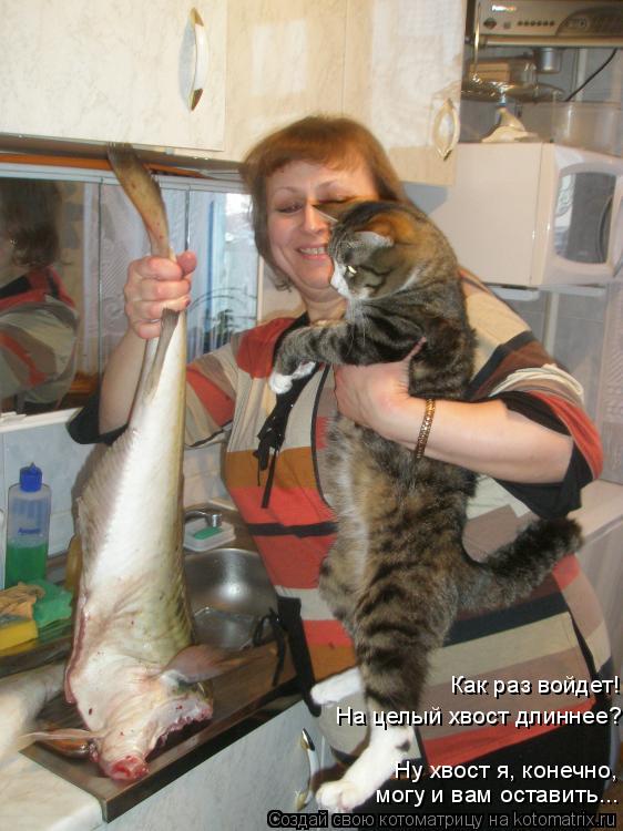 Котоматрица: могу и вам оставить... Ну хвост я, конечно, На целый хвост длиннее? Как раз войдет!