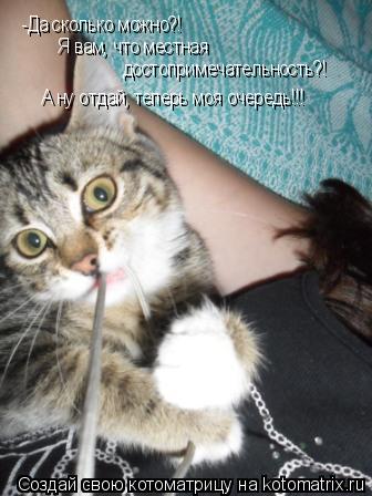 Котоматрица: -Да сколько можно?!  Я вам, что местная  достопримечательность?!  А ну отдай, теперь моя очередь!!!