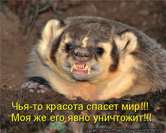 Котоматрица: Чья-то красота спасет мир!!! Моя же его явно уничтожит!!!