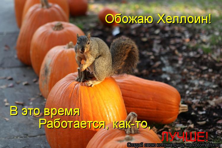 Котоматрица: Обожаю Хеллоин! В это время Работается, как-то, ЛУЧШЕ!