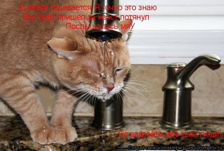 Котоматрица: Хозяйка издевается Я точно это знаю Хозяйка издевается Я точно это знаю Вот брат пришел за хвост потянул Послышалось мяУ Но закройте уже кр