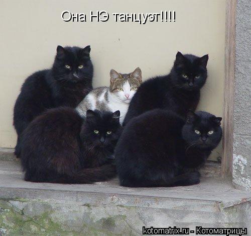 Котоматрица: Она НЭ танцуэт!!!!