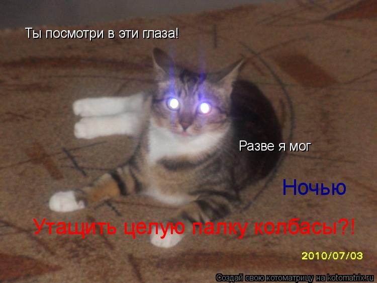 Котоматрица: Ты посмотри в эти глаза! Разве я мог Ночью Утащить целую палку колбасы?!