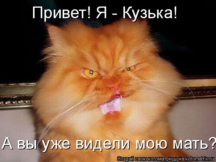 А вы уже видели мою мать? Привет! Я - Кузька!... Котоматрица: А вы уже видели мою мать? Привет! Я - Кузька!