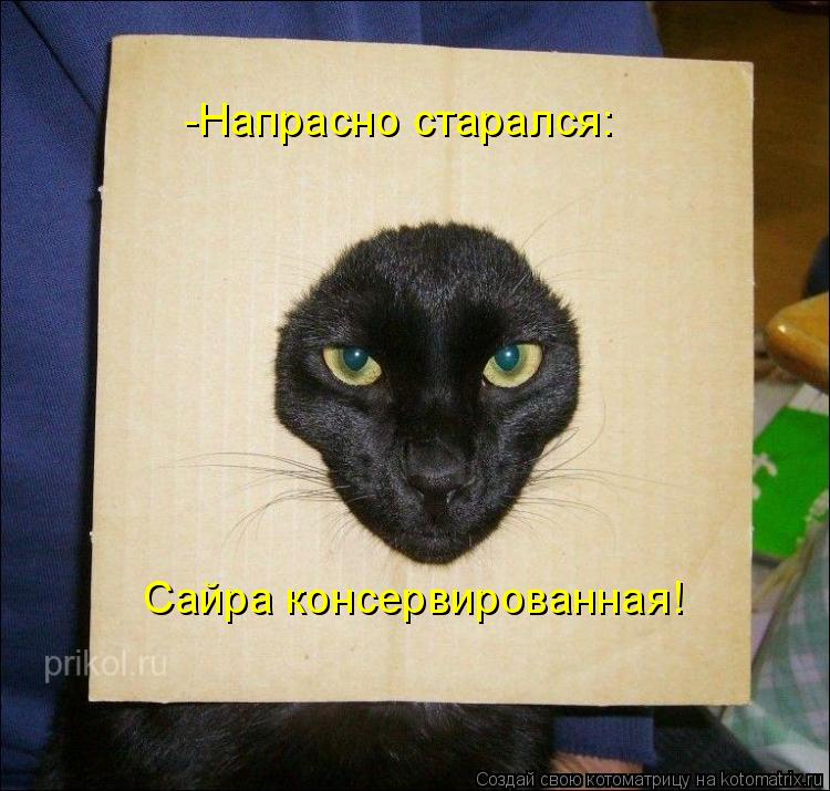Котоматрица: -Напрасно старался: Сайра консервированная!