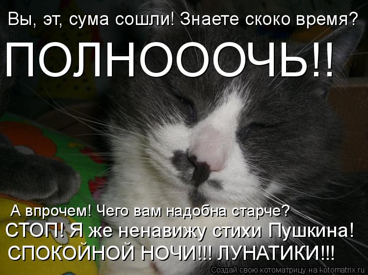Котоматрица: Вы, эт, сума сошли! Знаете скоко время? ПОЛНОООЧЬ!! А впрочем! Чего вам надобна старче? СТОП! Я же ненавижу стихи Пушкина! СПОКОЙНОЙ НОЧИ!!! ЛУНА