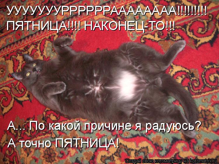 Котоматрица: УУУУУУУРРРРРРАААААААА!!!!!!!!! ПЯТНИЦА!!!! НАКОНЕЦ-ТО!!! А... По какой причине я радуюсь? А точно ПЯТНИЦА!