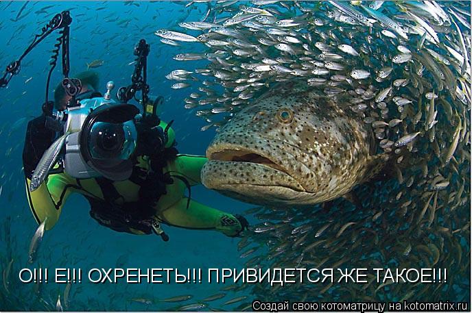 Котоматрица: О!!! Е!!! ОХРЕНЕТЬ!!! ПРИВИДЕТСЯ ЖЕ ТАКОЕ!!!