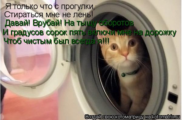 Котоматрица: Я только что с прогулки, Стираться мне не лень! Давай! Врубай! На тыщу оборотов И градусов сорок пять включи мне на дорожку Чтоб чистым был вс