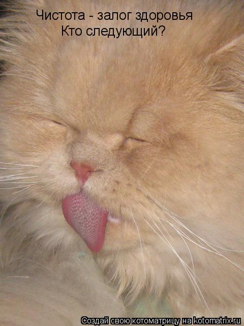 Котоматрица: Чистота - залог здоровья Кто следующий?