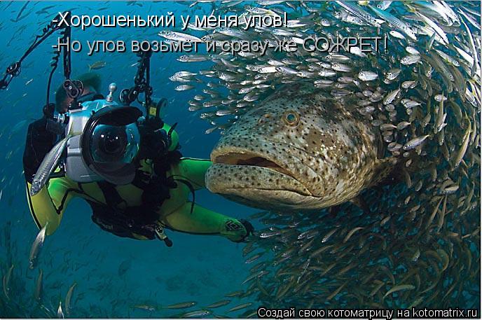 Котоматрица: -Хорошенький у меня улов! -Но улов возьмёт и сразу-же СОЖРЕТ!