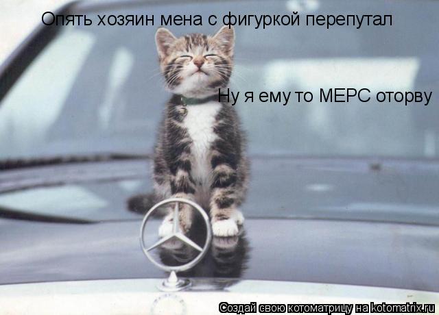 Котоматрица: Опять хозяин мена с фигуркой перепутал Ну я ему то МЕРС оторву