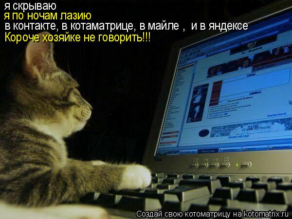 Котоматрица: я скрываю я по ночам лазию в контакте, в котаматрице, в майле ,  и в яндексе Короче хозяйке не говорить!!!