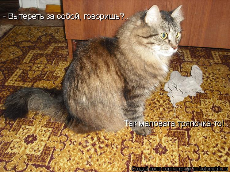 Котоматрица: - Вытереть за собой, говоришь?.. Так маловата тряпочка-то!..