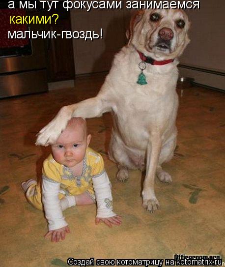 Котоматрица: а мы тут фокусами занимаемся какими? мальчик-гвоздь!