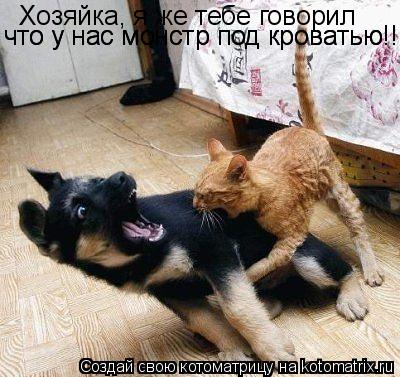 Котоматрица: Хозяйка, я же тебе говорил что у нас монстр под кроватью!!! что у нас монстр под кроватью!!!
