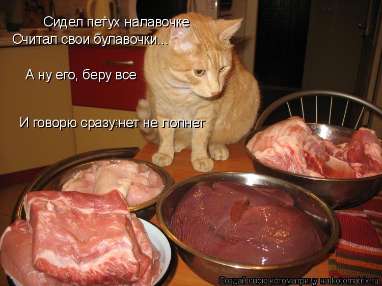 Котоматрица: Сидел петух налавочке Считал свои булавочки... А ну его, беру все И говорю сразу:нет не лопнет