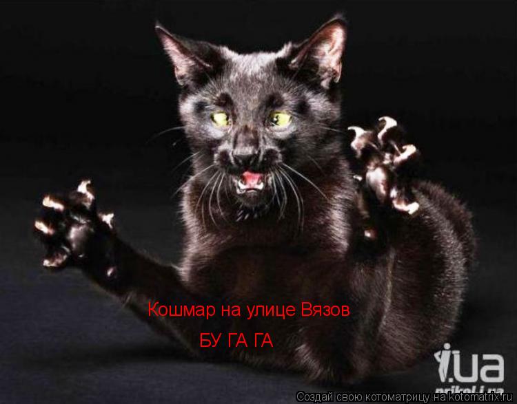 Котоматрица: Кошмар на улице Вязов БУ ГА ГА