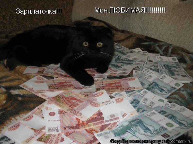 Котоматрица: Зарплаточка!!! Моя ЛЮБИМАЯ!!!!!!!!!!