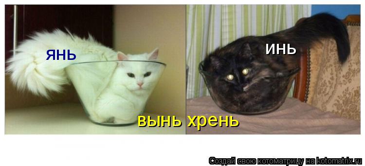 Котоматрица: инь янь вынь хрень