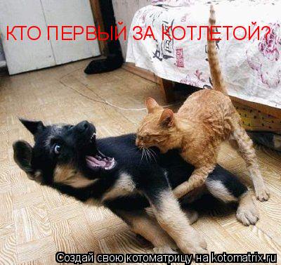 Котоматрица: КТО ПЕРВЫЙ ЗА КОТЛЕТОЙ?