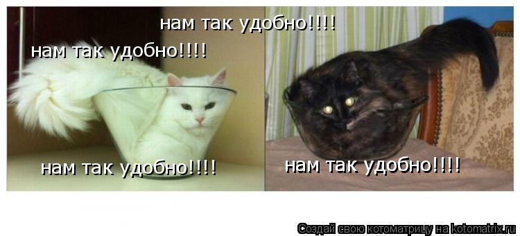 Котоматрица: нам так удобно!!!! нам так удобно!!!! нам так удобно!!!! нам так удобно!!!! нам так удобно!!!!