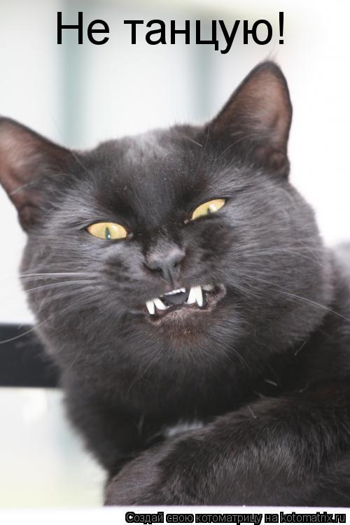 Котоматрица: Не танцую!