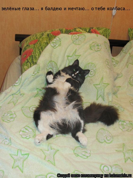 Котоматрица: зелёные глаза... я балдею и мечтаю... о тебе колбаса...