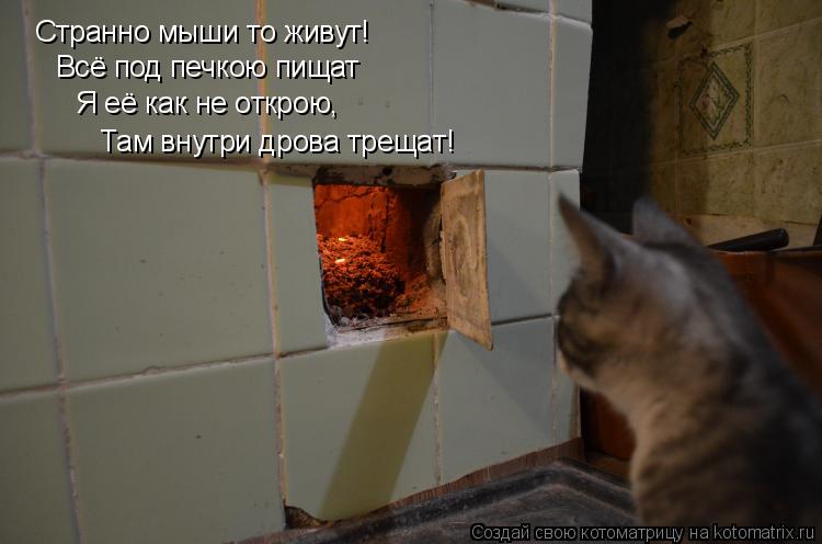 Котоматрица: Странно мыши то живут! Всё под печкою пищат Я её как не открою, Там внутри дрова трещат!