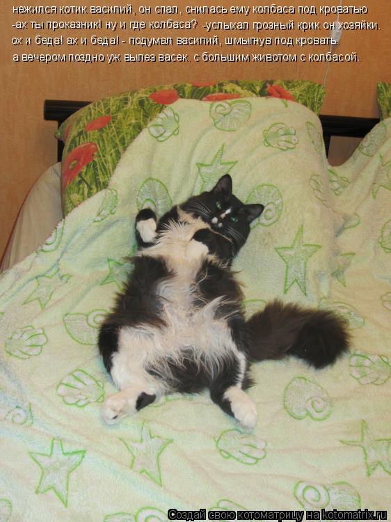 Котоматрица: -ах ты проказник! ну и где колбаса? ох и беда! ах и беда! - подумал василий, шмыгнув под кровать. а вечером поздно уж вылез васек. с большим живо