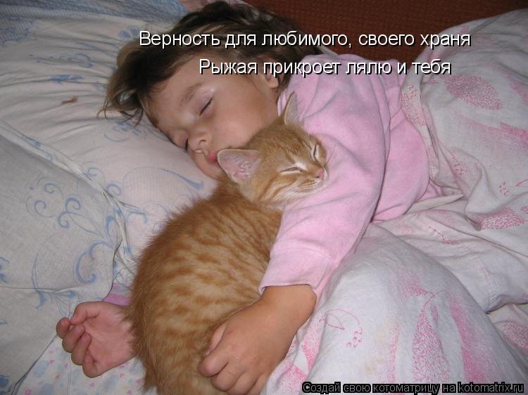 Котоматрица: Верность для любимого, своего храня Рыжая прикроет лялю и тебя