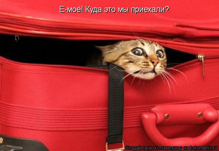 Котоматрица: Е-моё! Куда это мы приехали?