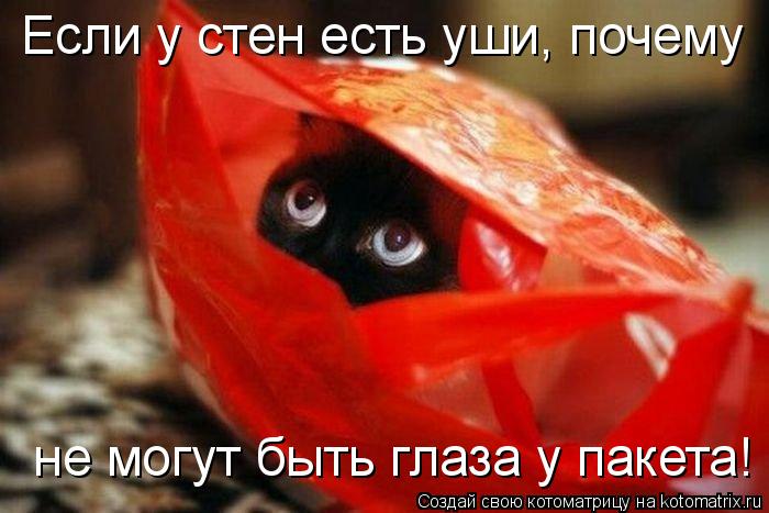 Котоматрица: Если у стен есть уши, почему  не могут быть глаза у пакета!