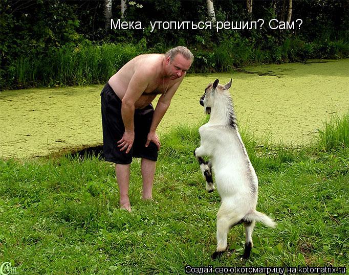 Котоматрица: Мека, утопиться решил? Cам?