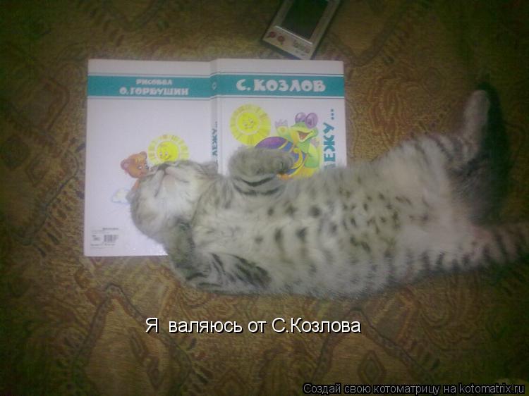 Котоматрица: Я  валяюсь от С.Козлова
