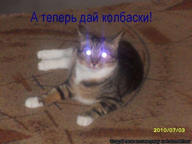 Котоматрица: А теперь дай колбаски!