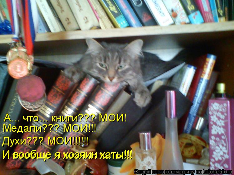 Котоматрица: А... что... книги??? МОИ! Медали??? МОИ!!! Духи??? МОИ!!!!!! И вообще я хозяин хаты!!! И вообще я хозяин хаты!!!