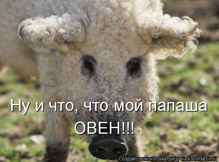 Котоматрица: Ну и что, что мой папаша  ОВЕН!!!