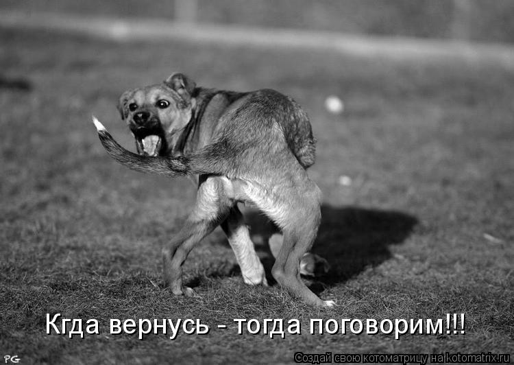 Котоматрица: Кгда вернусь - тогда поговорим!!!
