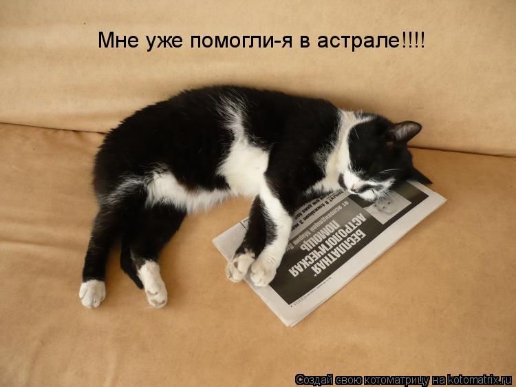 Котоматрица: Мне уже помогли-я в астрале!!!!