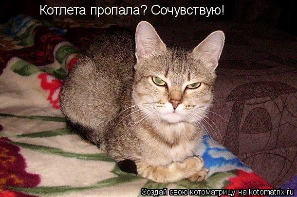 Котоматрица: Котлета пропала? Сочувствую!