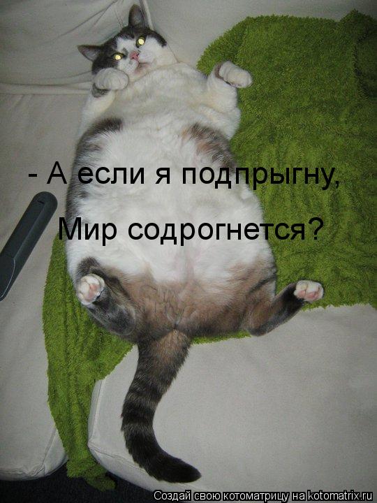 Котоматрица: - А если я подпрыгну, Мир содрогнется?