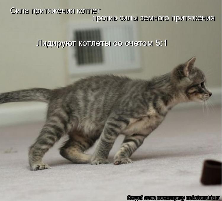 Котоматрица: Сила притяжения котлет  против силы земного притяжения Лидируют котлеты со счетом 5:1