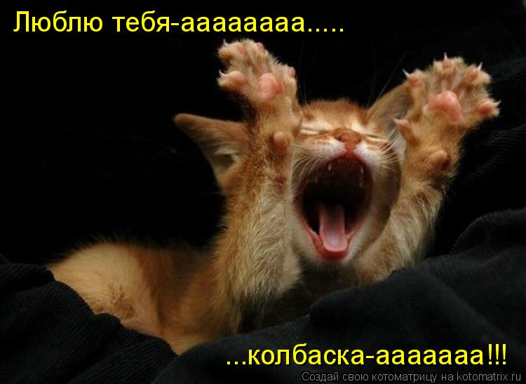 Котоматрица: Люблю тебя-аааааааа..... ...колбаска-ааааааа!!!