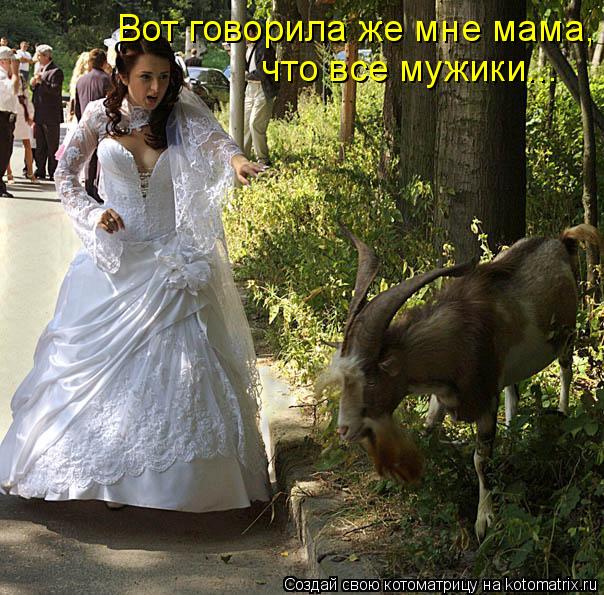 Котоматрица: Вот говорила же мне мама,  что все мужики...