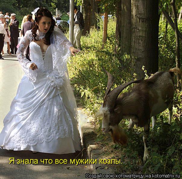 Котоматрица: Я знала что все мужики козлы.