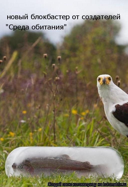 Котоматрица: новый блокбастер от создателей "Среда обитания"