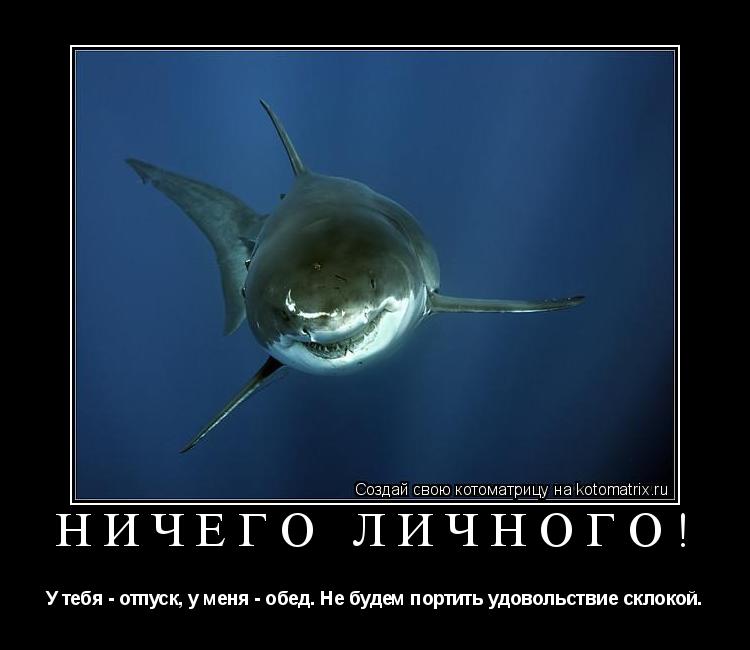 Котоматрица: ничего личного! У тебя - отпуск, у меня - обед. Не будем портить удовольствие склокой.
