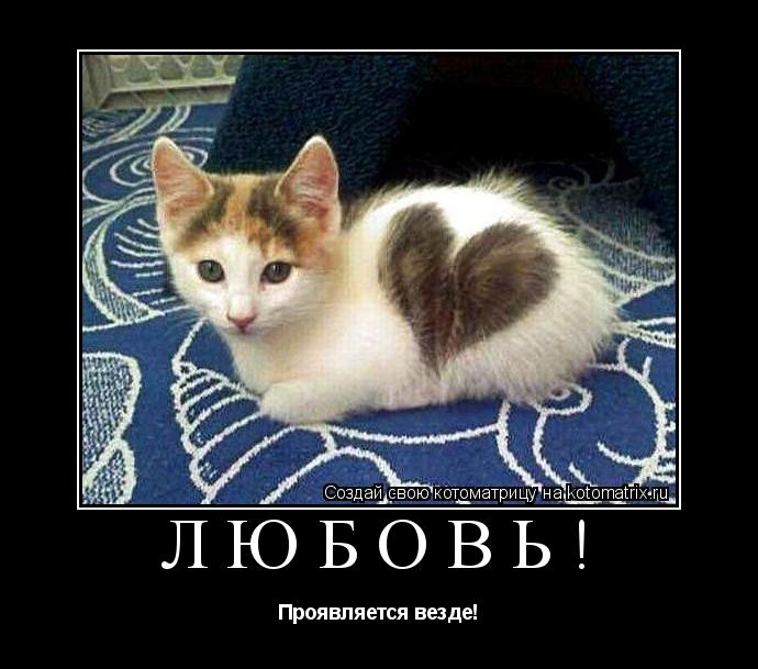 Любовь! Проявляется везде!... Котоматрица: Любовь! Проявляется везде!