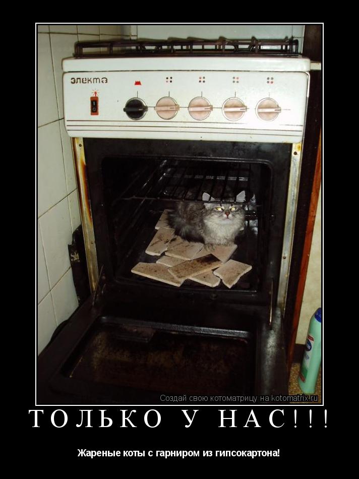 ТОЛЬКО У НАС!!! Жареные коты с гарниром из гипсокартона!... Котоматрица: ТОЛЬКО У НАС!!! Жареные коты с гарниром из гипсокартона!
